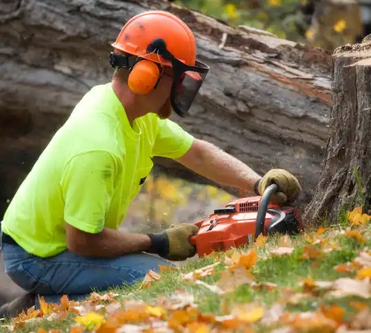 tree services Roxboro